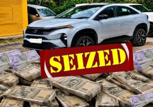 seezed