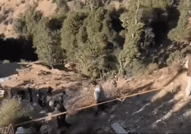 हिमाचल में दर्दनाक हादसा: सिरमौर में खाई में गिरी बस, 8 की मौत, कई यात्री घायल