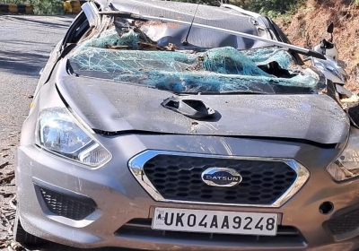 Tree fell on food blogger's moving car