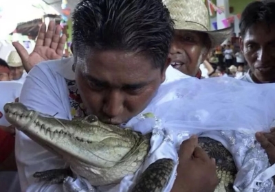 Marriage With Crocodile
