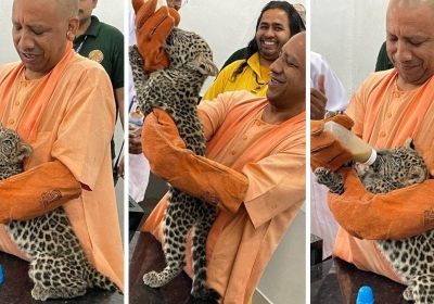 CM Yogi Fed Milk to Leopard Cubs