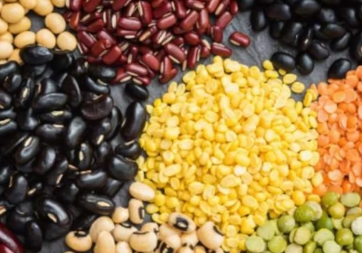 Pulses Production Boost