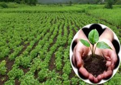 Natural Farming System in Himachal