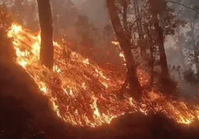 Forest fires rage in Uttarakhand