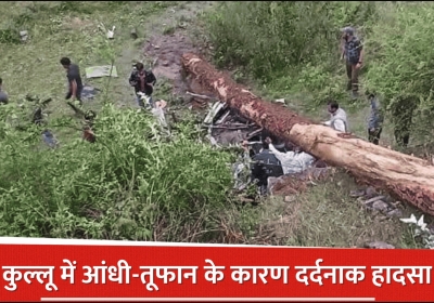 Natures fury in Kullu: A huge tree fell on a Bolero during a storm
