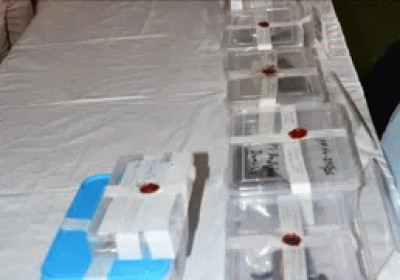A major 48-hour operation in Delhi-NCR resulted