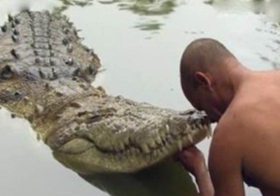 Kerela Vegetarian Crocodile Babiya