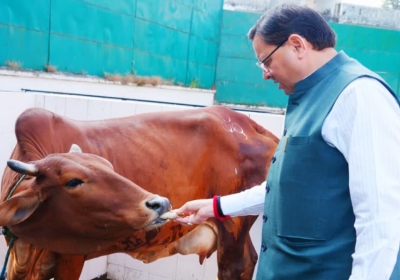 Cm Dhami Gaumata Pujan