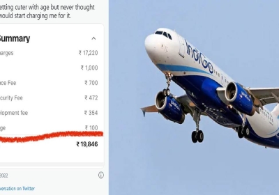 IndiGo Airline यात्रियों से क्‍यों वसूल रहा क्‍यूट चार्ज