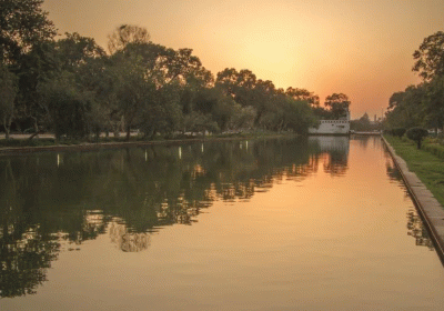 The Miracle of Canal Water in Punjab: A Record 167% Increase