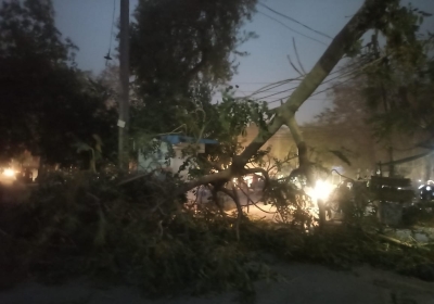 Dust Storm Causes Power Outage