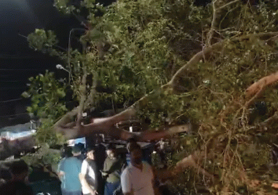 Weather Havoc in Rajasthan