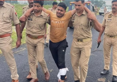 Cow Smuggler Injured in Encounter