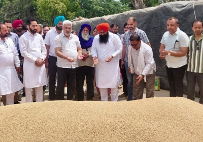 Arrival of 28 Lakh Metric Tonnes of Wheat in Punjab