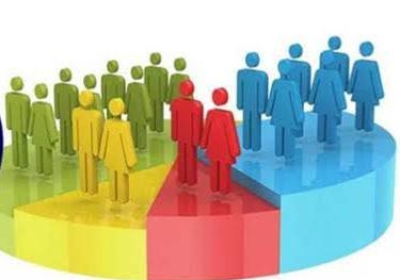 Caste Census Process