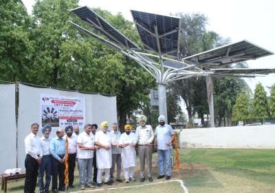 Installing Seven Solar Trees in Patiala
