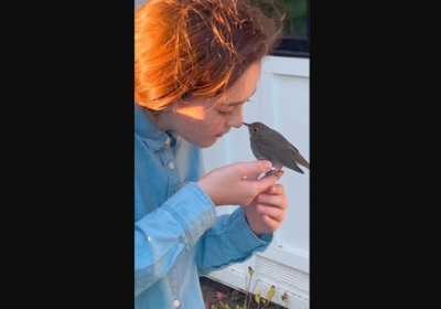 Girl sings song for bird sitting on her hand, video viral
