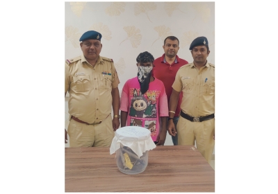 Sector 24 Police Post has Apprehended an Accused