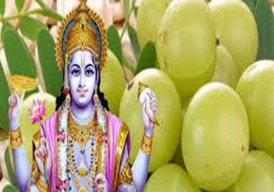 Amla-Navmi