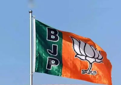 BJP Election Manifesto Committee Lok Sabha Chunav 2024
