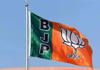 BJP New Appointments in Haryana Vidhan Sabha Chunav 2024 Update