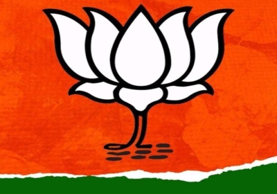 Delhi BJP Vice President Appoints