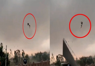 Bareilly Man Fly In Strong Storm Video Viral Uttar Pradesh News