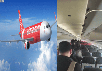 Bird Collision With Air Asia Flight