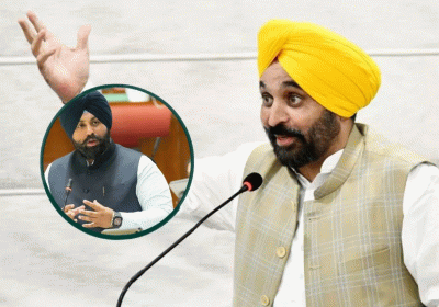 The Triumph of Education in Punjab Government Schools