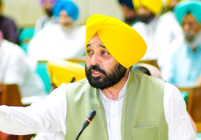 CM Bhagwant Mann big decision on the moong of farmers in Punjab