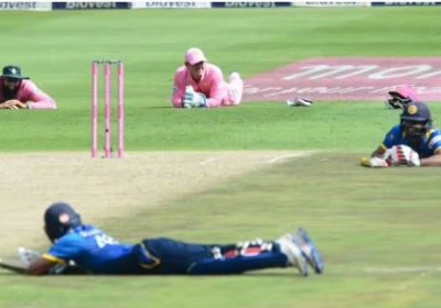 Bee Attack During Cricket Match