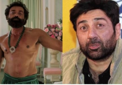 Sunny Deol On Animal Climax