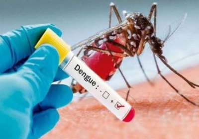 Dengue Cases in Mohali