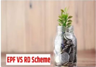 Best Investment Options For Indian Investors