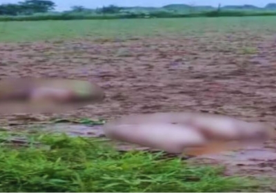 Dead Body of a Woman was Found in Two Closed Sacks