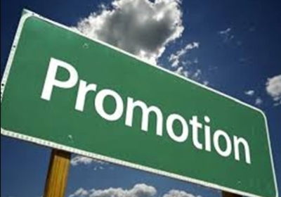 Officers Promoted in Punjab