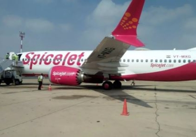 SpiceJet Share Price