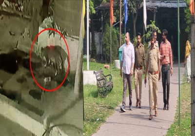 Chandigarh Leopard CCTV Footage Near Sector 29 Dargah Police Forest Team