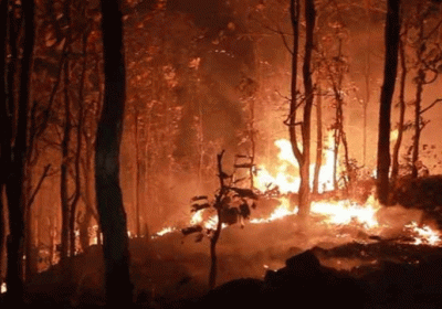 Forest fire in Uttarakhand