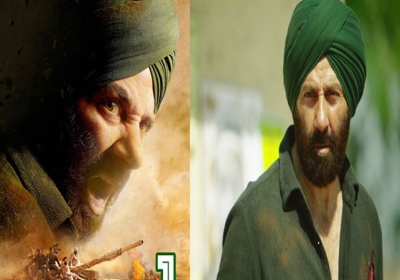    Gadar 2 vs OMG 2 Box Office Collection Sunny Deol Film Earnings