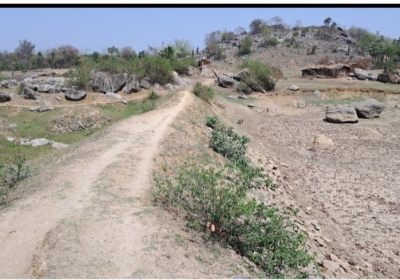 Barren land in gaya will be again turn into green and fertile