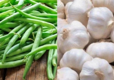 Change in weather made garlic and bean growers rich this year