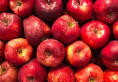 Storage rates fixed in HPMC CA stores for the current apple season, this much will be charged per kg