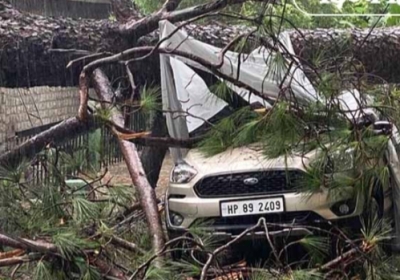 Heavy damage caused by falling of a big pine tree in School Education Board Colony, Chilgadi, Smart City