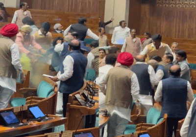 Security Breach in Parliament MPs Beaten Up Youths Video Viral