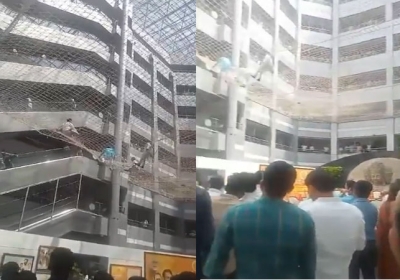 Maharashtra Deputy Speaker Jumped