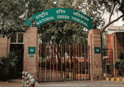 NGT Imposes Fine Rs 100 Cr On Haryana Government 