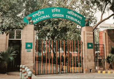NGT Orders To Close More Than 80 Industries In Punjab
