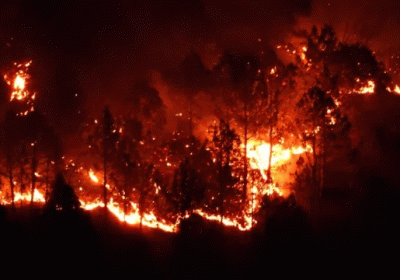 Rampage in Nainital Forests