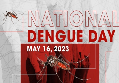 National Dengue Day 2023
